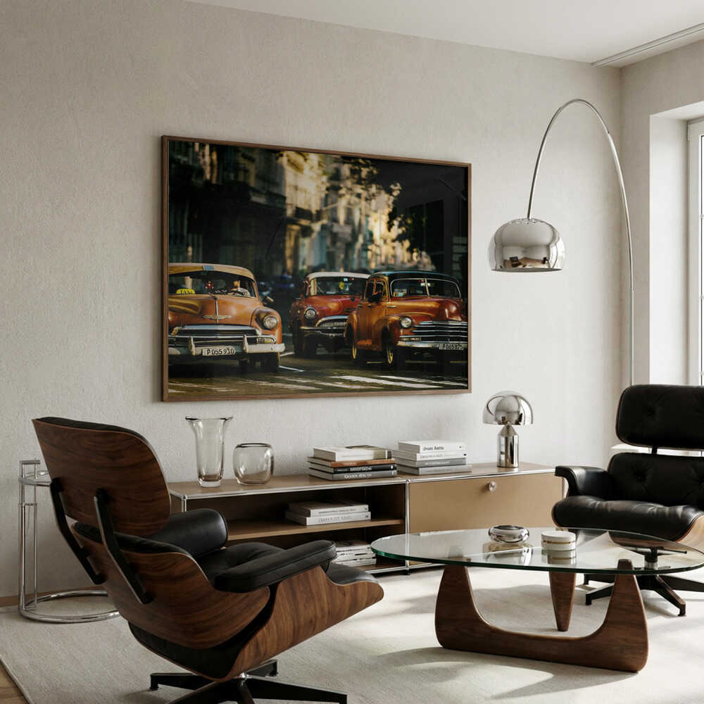 Come with me in the morning light