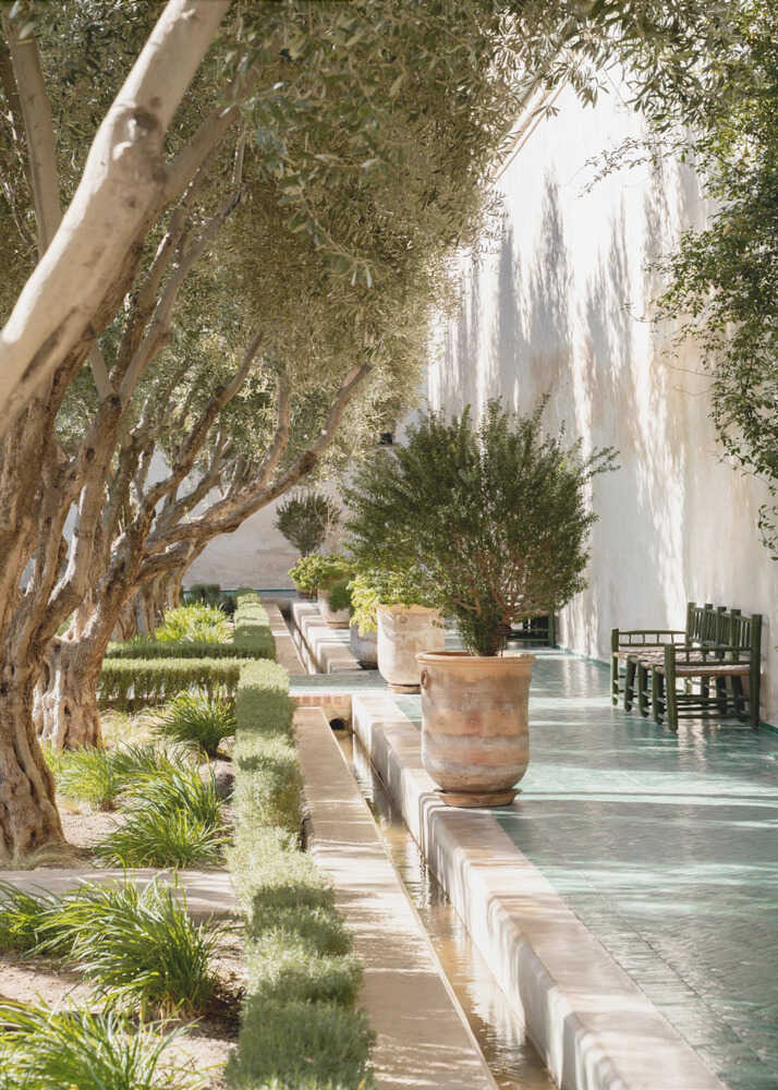 Olive garden courtyard poster with olive trees potted plants and a water channel in a sunlit courtyard