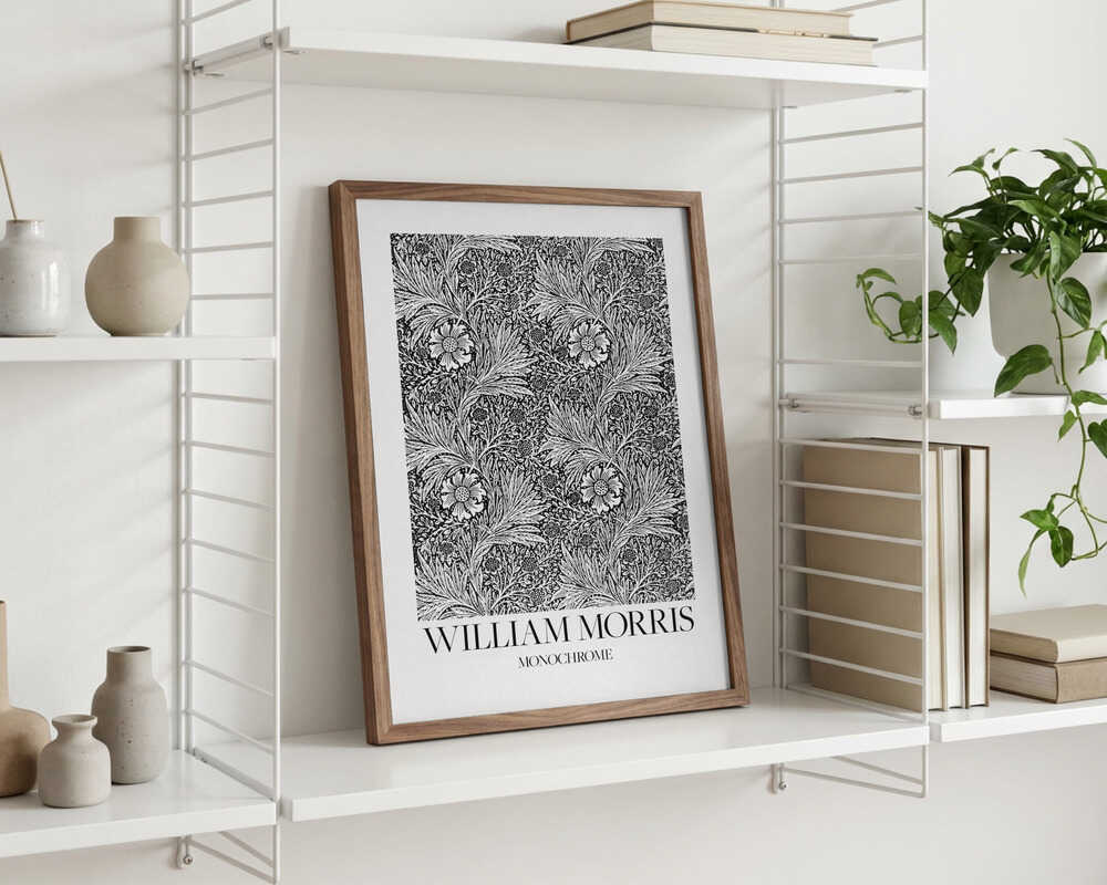 Monokrom Poster med ringblomma