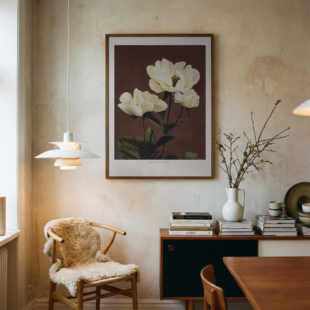 Härdaceous Peony Poster
