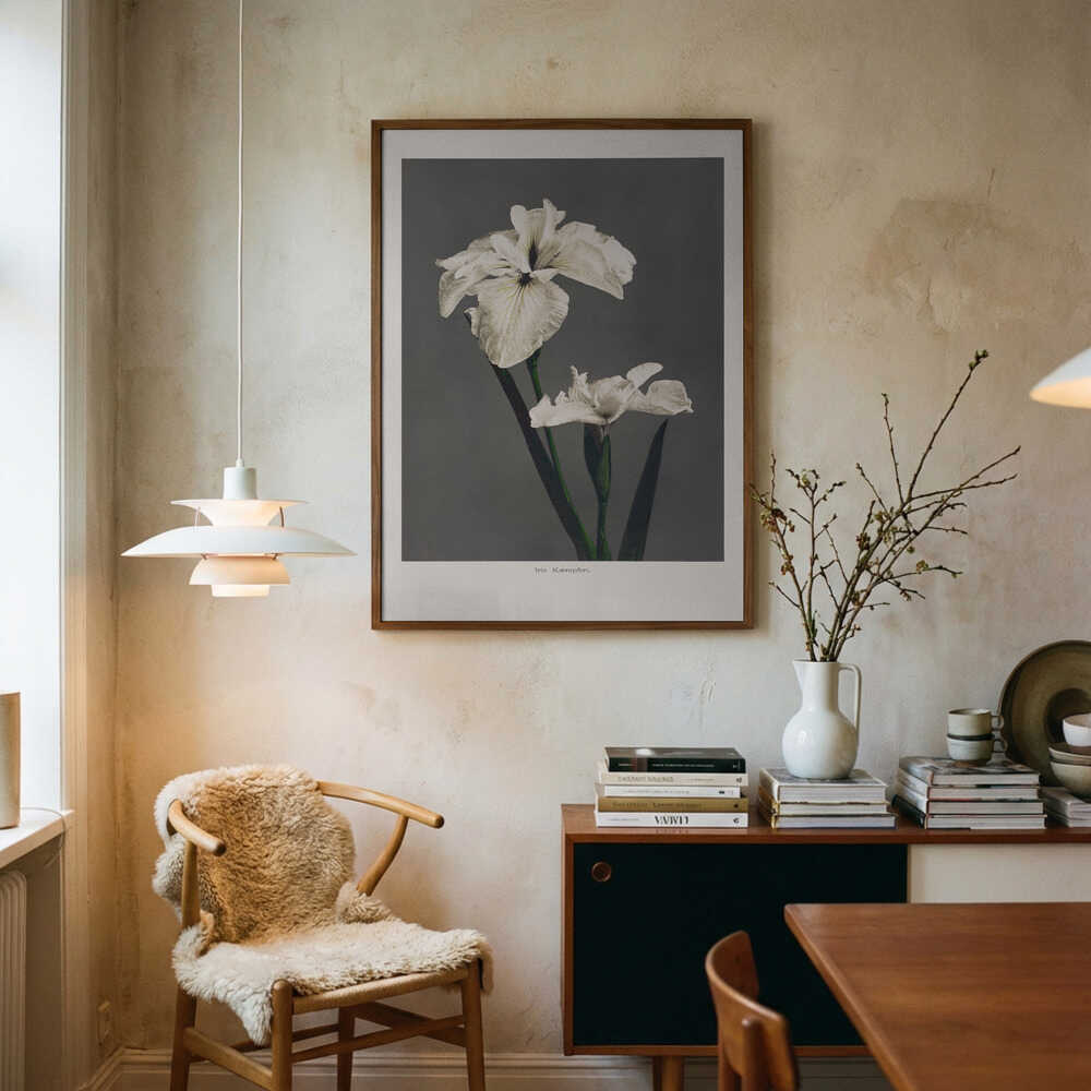 Iris Kæmpferi Poster