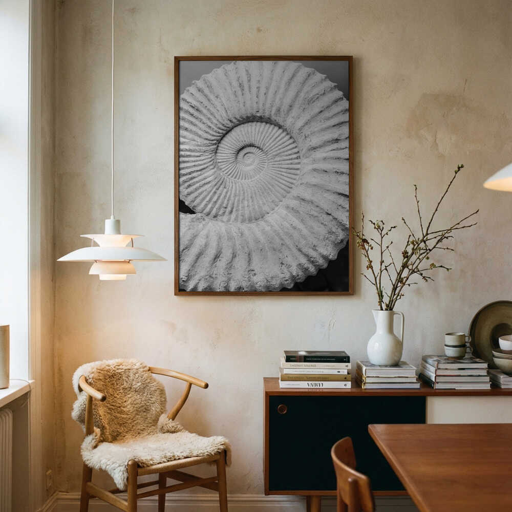 Antika Spiraldrömmar Poster