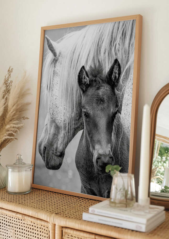 sto och föl Poster