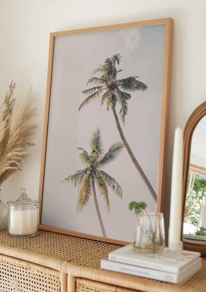 Tropical Palms