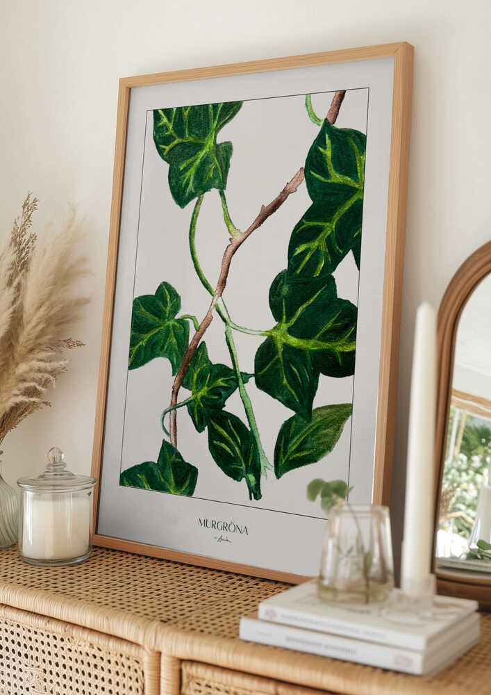 Botanisk med grön murgröna Poster