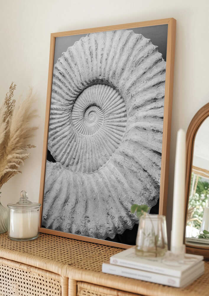 Ancient Spiral Dreams Poster