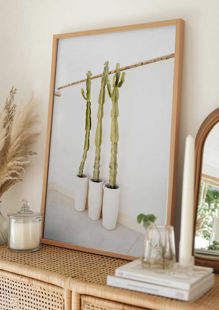 Kaktusar på vit Poster