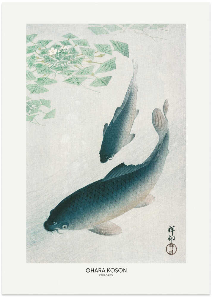 Karp eller Koi-poster