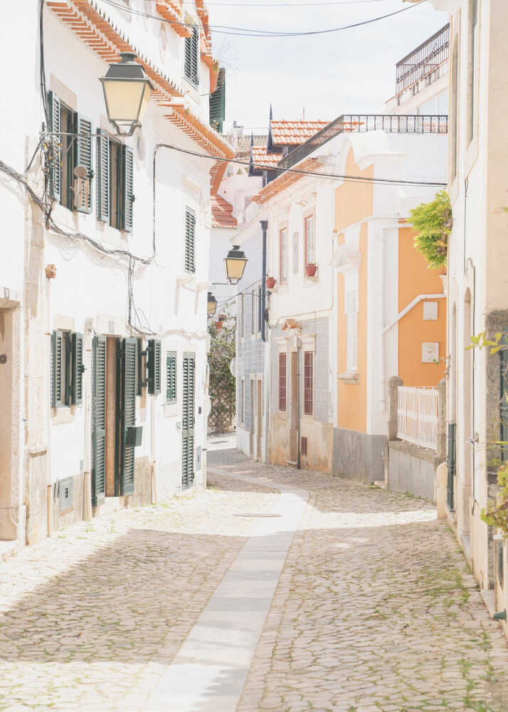 Charming European Cobblestone Street Poster