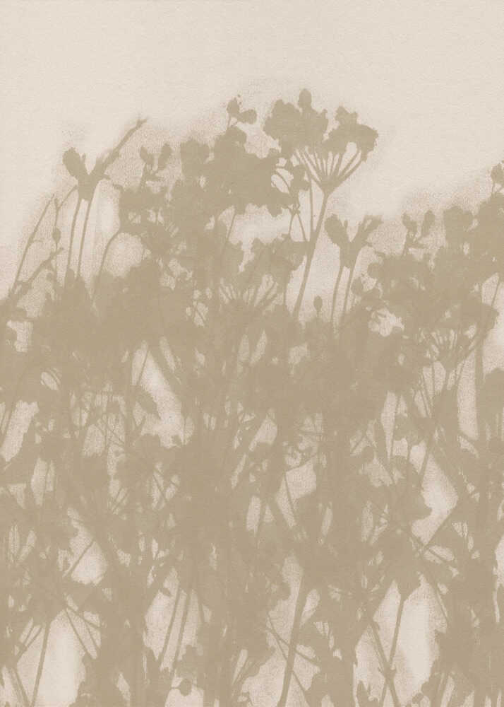 Botanisk Skygge Plakat