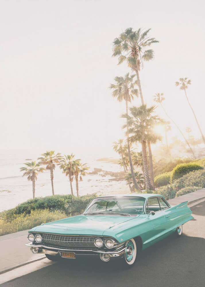 Malibu Classic Poster