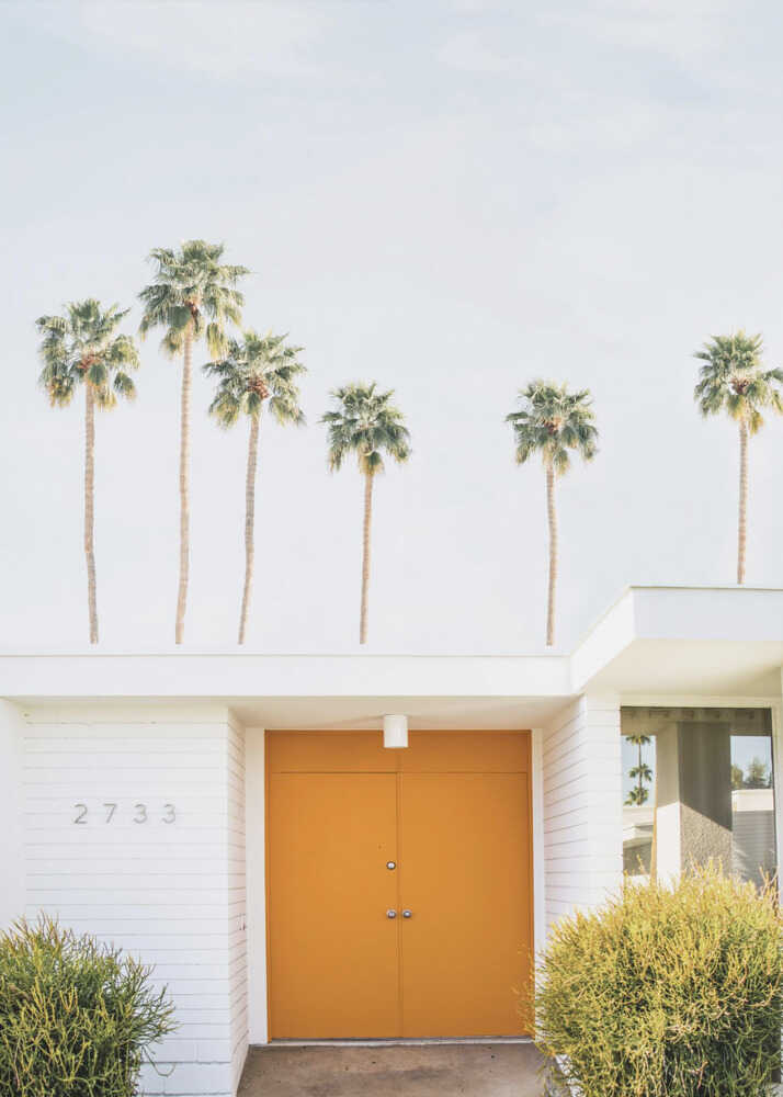 Palm Springs 1 Poster