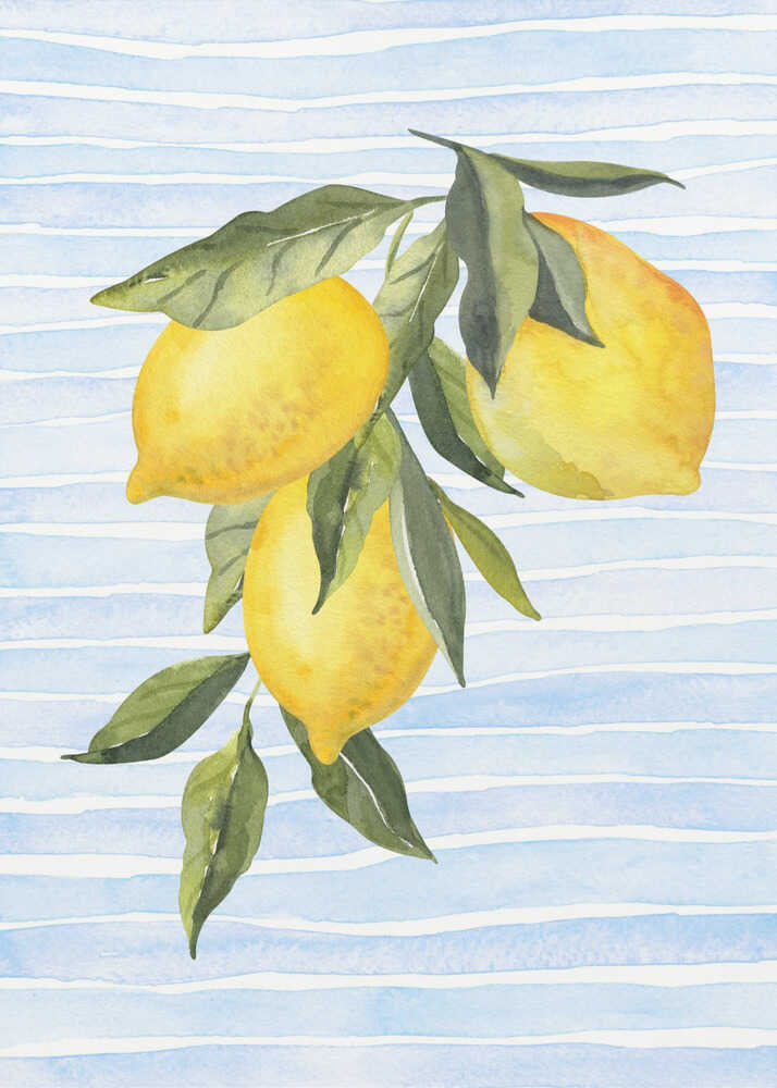 Citroner på ränder akvarell Poster