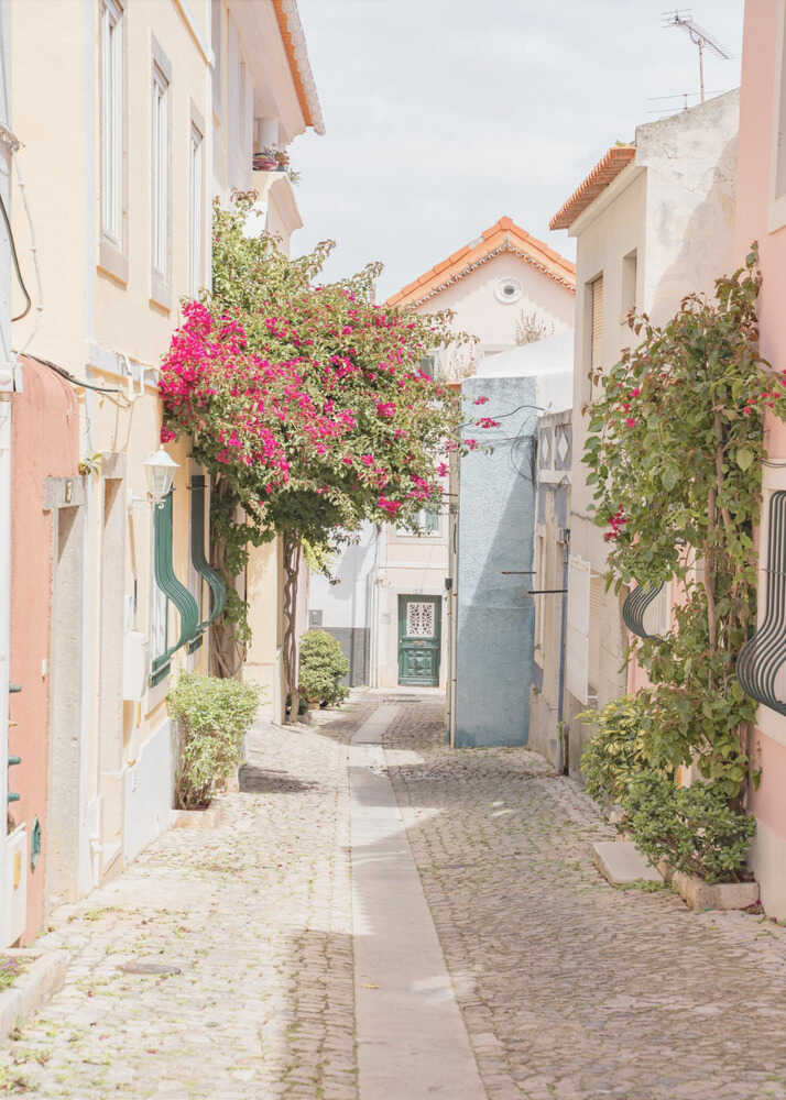 Blomstrande bygata Poster