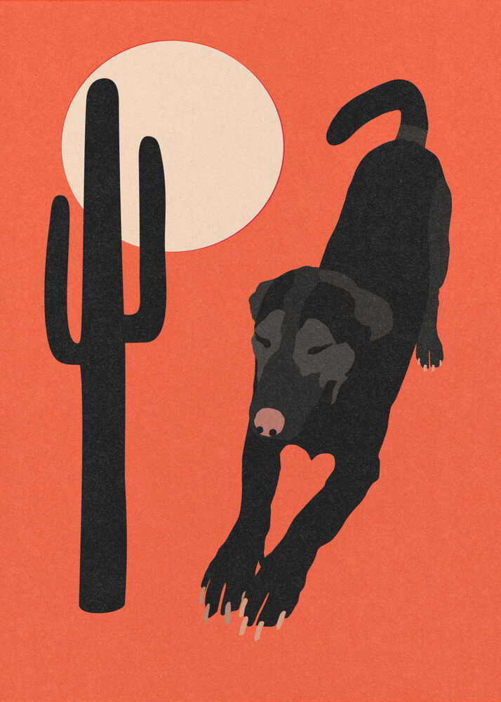 Svart Ökenhund Poster
