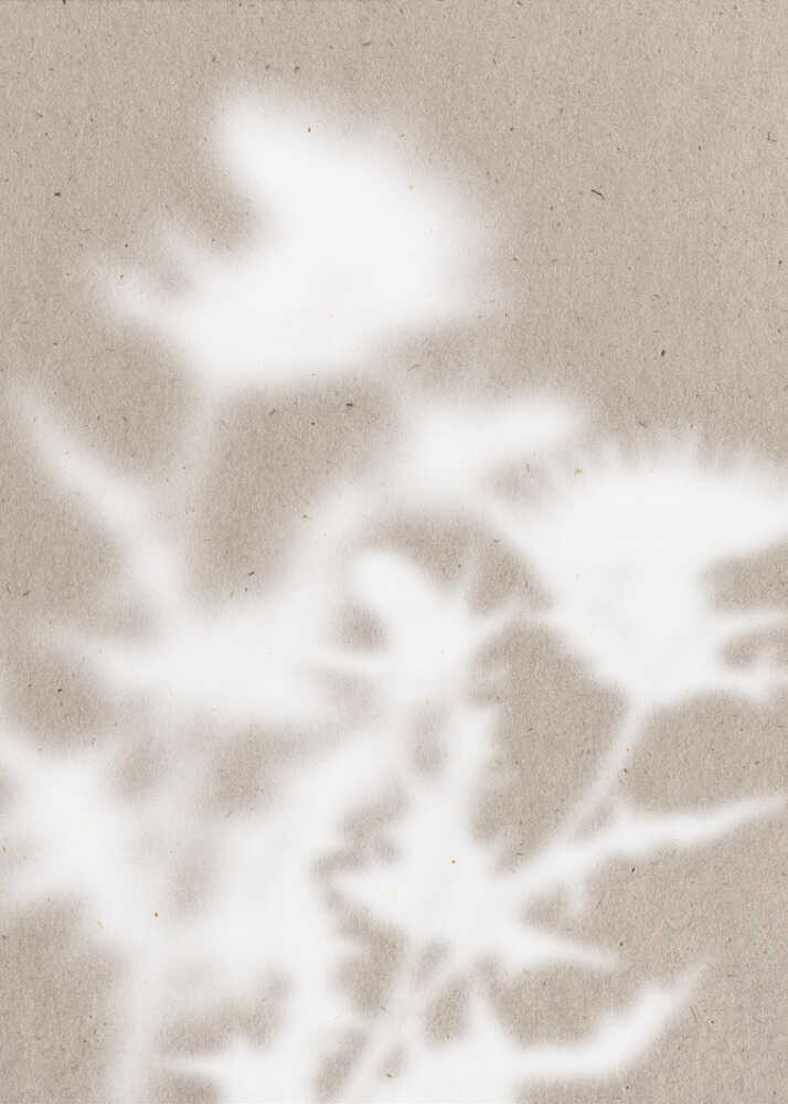 Soft Botanical Shadows Poster