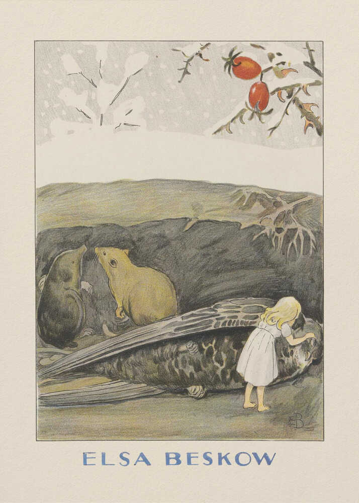 Tummelisa Fågeln Poster