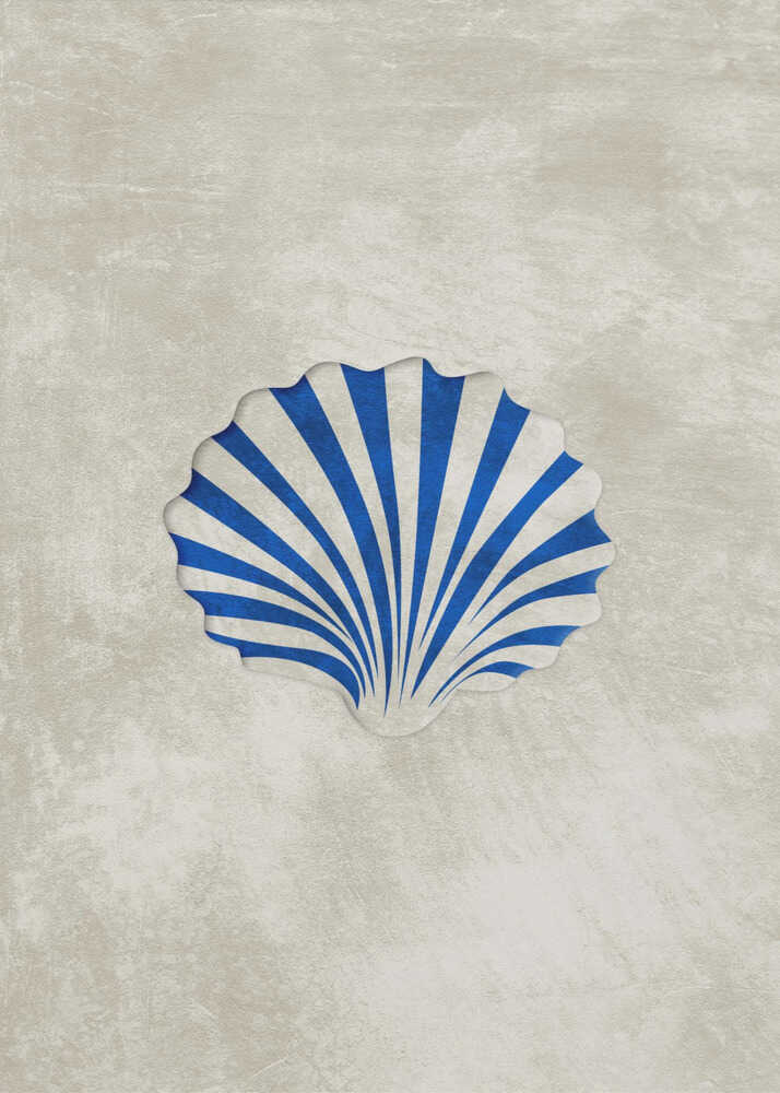 Blue Striped Scallop Poster