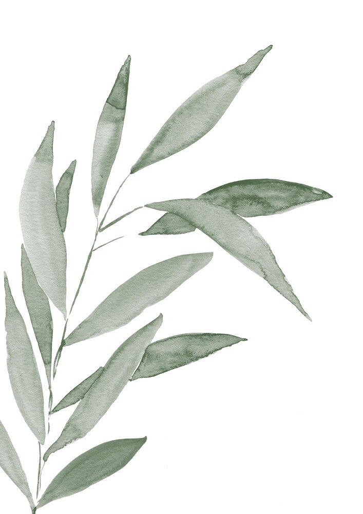 Sage green leaves watercolor poster with a watercolor illustration of sage green leaves on a white background