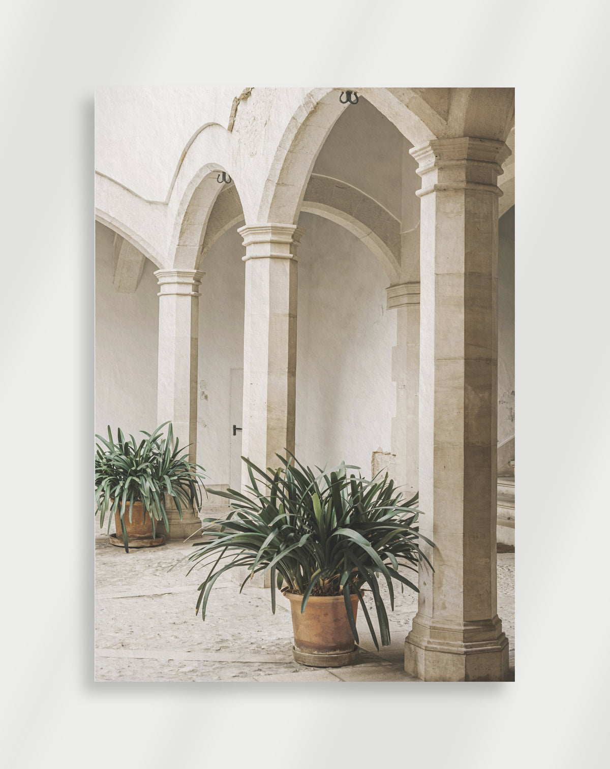 White colonnade plants poster with a white arched colonnade and potted plants in terracotta pots