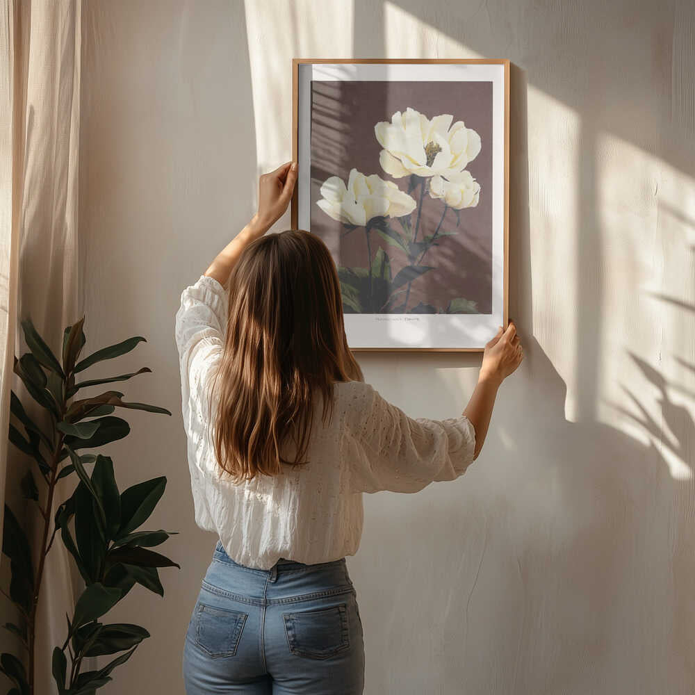 Härdaceous Peony Poster