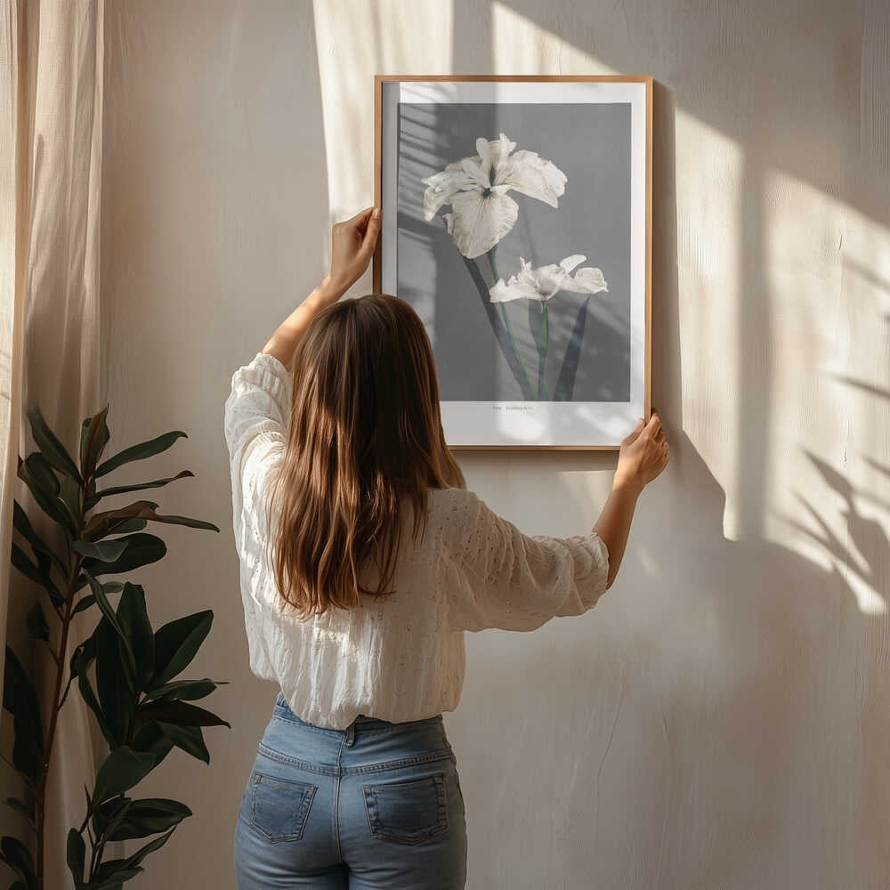 Iris Kæmpferi Poster