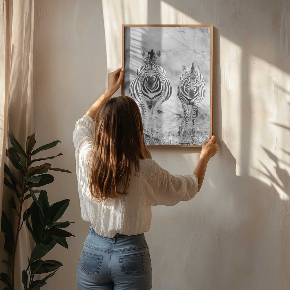 Striped Horse Front On Poster