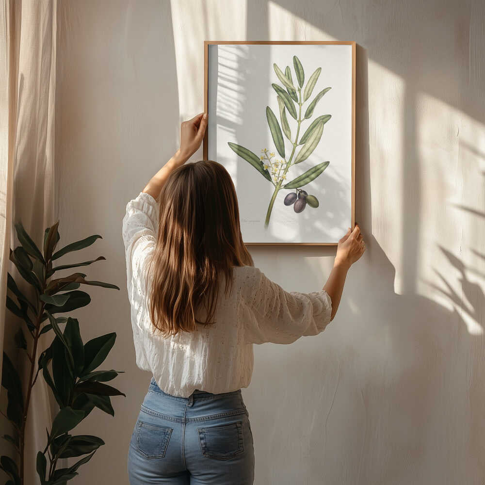 Olivkvist med frukt Poster